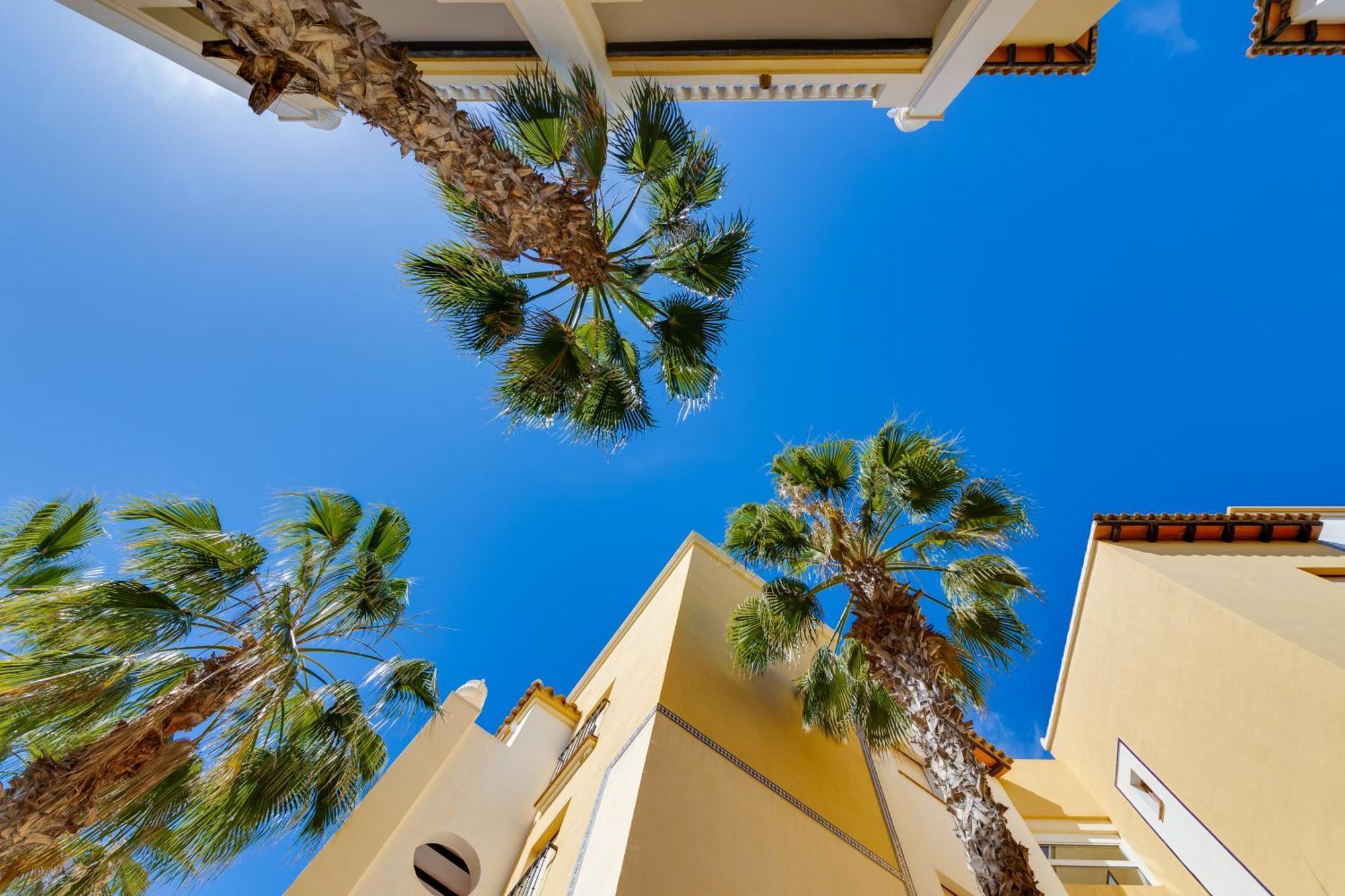 Premium Apartment Beach Aldea Del Mar ตอร์เรเวียคา ภายนอก รูปภาพ